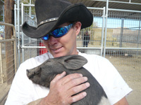 With Alexa now leaving for college, her family is no longer able to keep Elf. Thankfully, Frank, the tough-on-the-outside-but-soft-on-the-inside head of animal care and cruelty investigations for Animal Acres, agreed to have the sanctuary assume responsibility for Elf's care. But more help is needed! With Alexa now leaving for college, her family is no longer able to keep Elf. Thankfully, Frank, the tough-on-the-outside-but-soft-on-the-inside head of animal care and cruelty investigations for Animal Acres, agreed to have the sanctuary assume responsibility for Elf's care. But more help is needed!