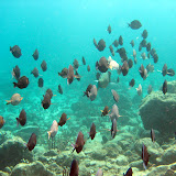 UnderwaterStBarts UnderwaterStBarts
