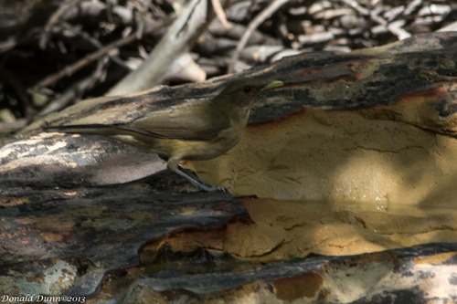 [130227_EE-8%255B4%255D.jpg]