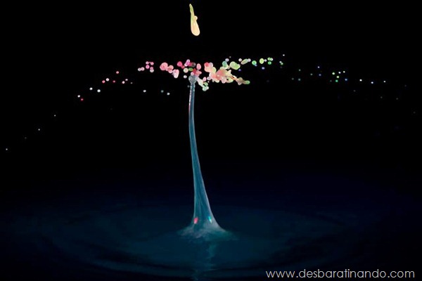 liquid-drop-art-gotas-caindo-foto-velocidade-hora-certa-desbaratinando (160) liquid-drop-art-gotas-caindo-foto-velocidade-hora-certa-desbaratinando (160)