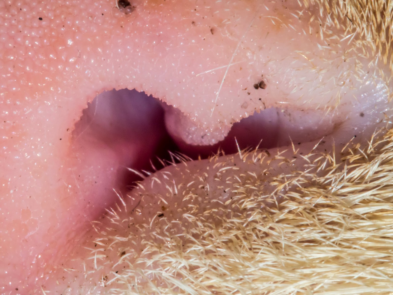 [20141004-00393.jpg]