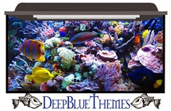 aquarium-skin-reef-busy-uhd