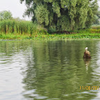IMG_7442.JPG