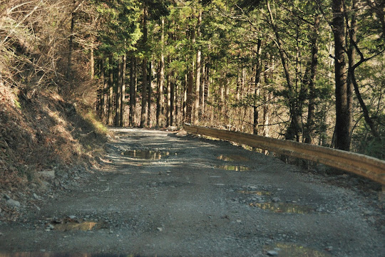 林道白川付知線