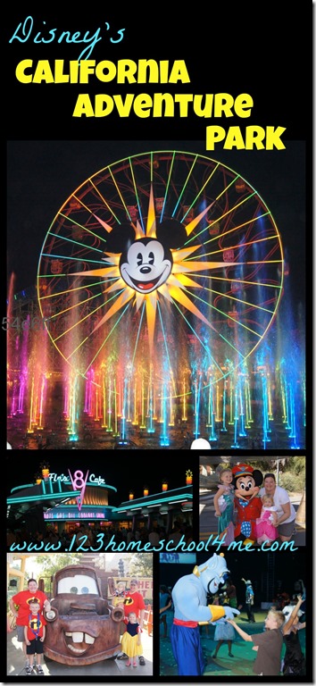 Disneyland California Adventure Park Review Disneyland California Adventure Park Review #disneyland #disney