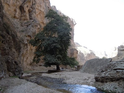 DSCN4042.jpg