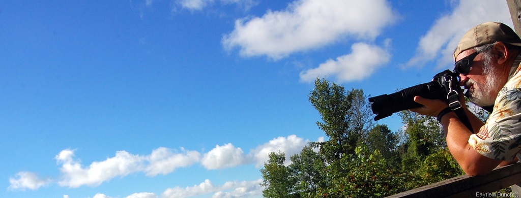 [DSC_8194%255B7%255D.jpg]