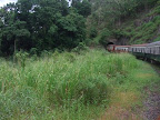 DSCF0288.JPG