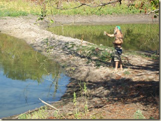 fall potatoes-3 ponds- bees 058