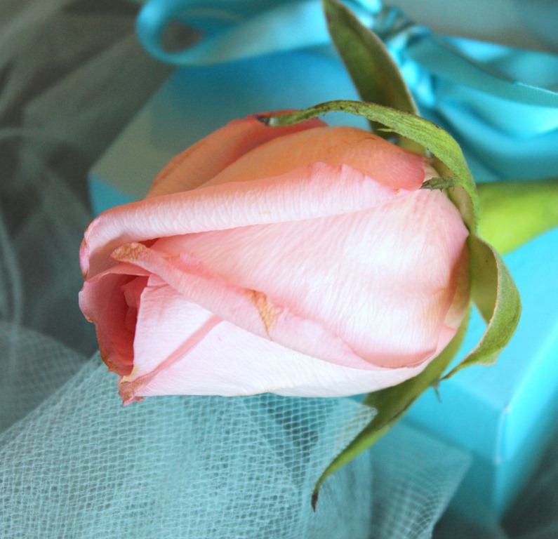 [February%25205%252C%25202012%2520Tiffany%2520Tablescape%2520064%255B4%255D.jpg]