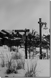 Street View B&W Street View B&W