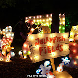 Walsall illuminations