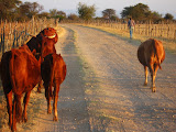 South Africa - 001.JPG