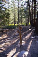 IMGP0001.JPG Photo