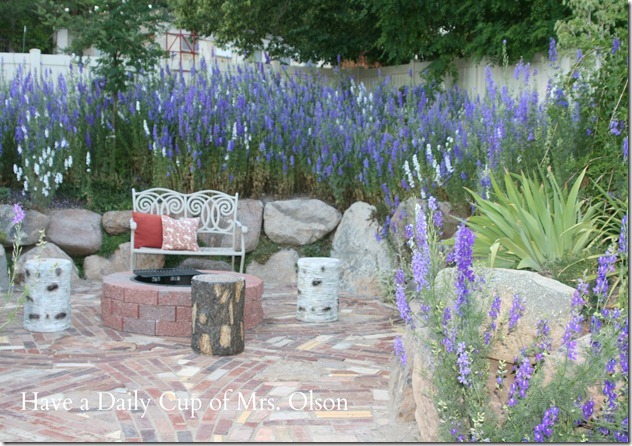 [Larkspur%2520in%2520firepit_thumb%255B3%255D%255B3%255D.jpg]