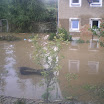 IMGP0540.JPG