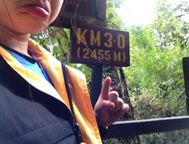 IMG_6263 IMG_6263