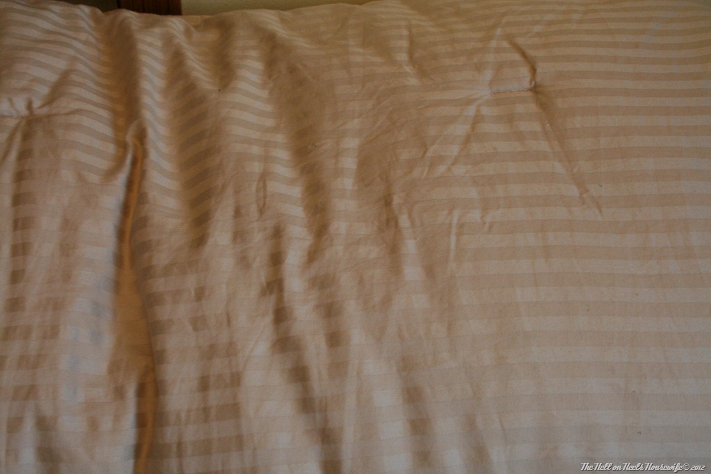 [bedroom3-0084.jpg]