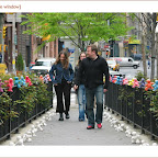 soho.4.jpg