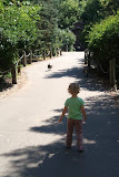 2011-08-28 14.26.57.jpg