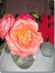 IMG_0001 IMG_0001