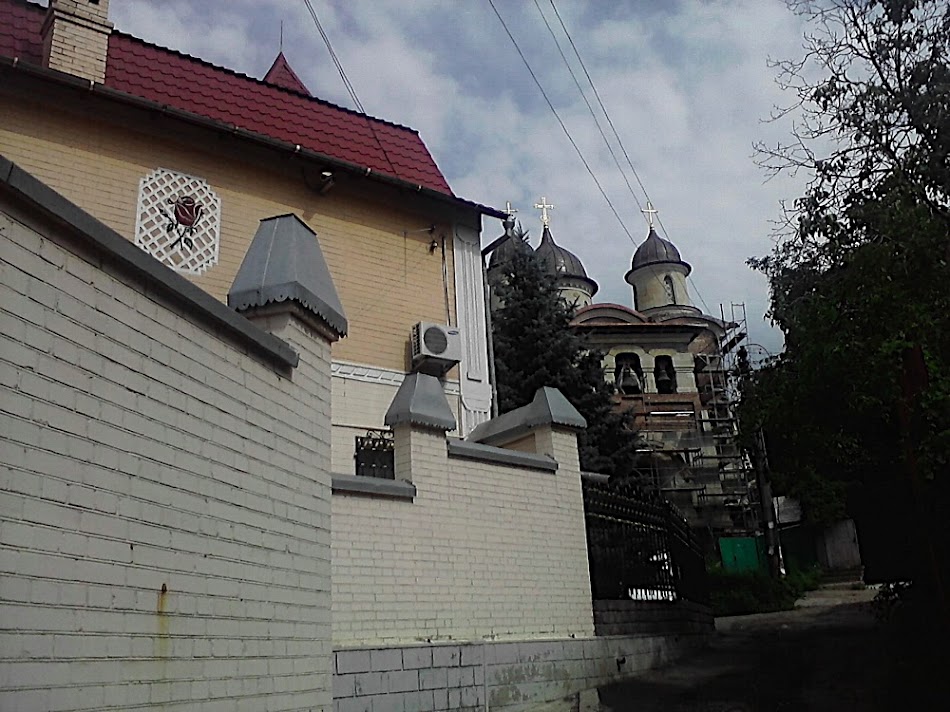 P300711_15.32.jpg