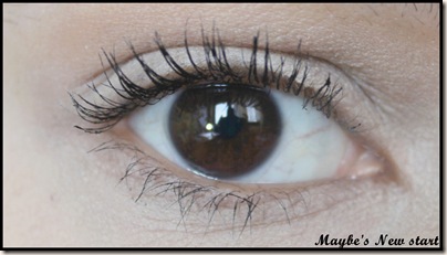 IMG_0346 IMG_0346