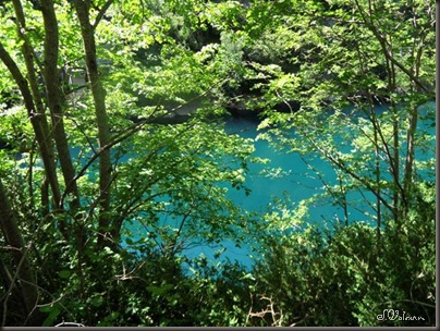 SAM_0650 SAM_0650
