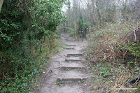 IMG_5725.JPG Photo