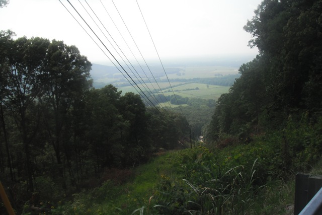 [Picture1077.jpg]