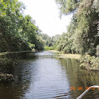 DSCN8373.JPG