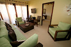 Flat Panel TV