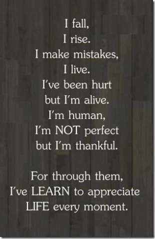 I Fall, I Rise!! I Fall, I Rise!!