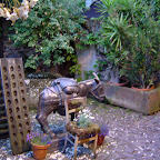 DSC02866.JPG