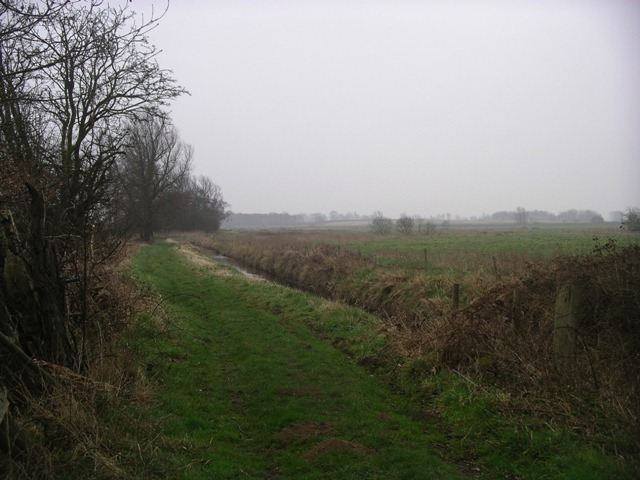 IMGP2221