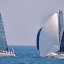 Palermo Montecarlo 2012 - Caramazza 051.jpg