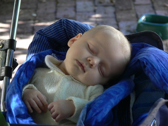 [P11006716.jpg]