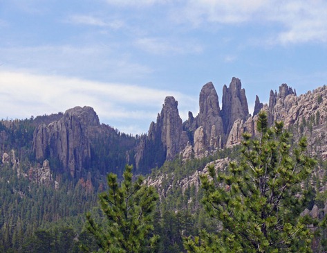 Needles Highway8