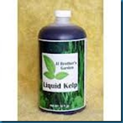 liquid kelp seaweed