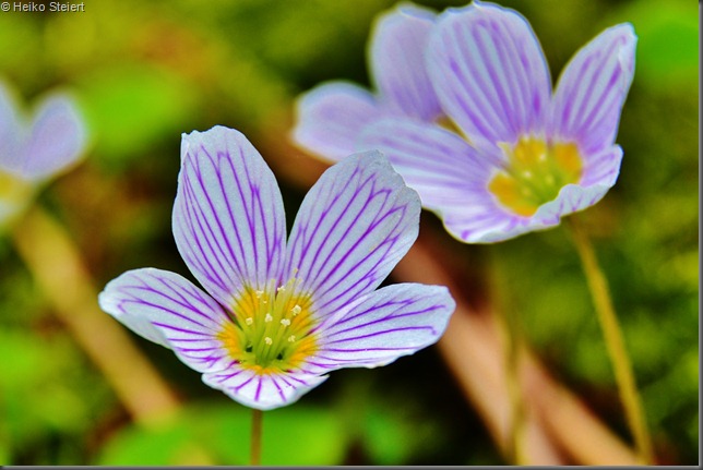 DSC_5282 DSC_5282