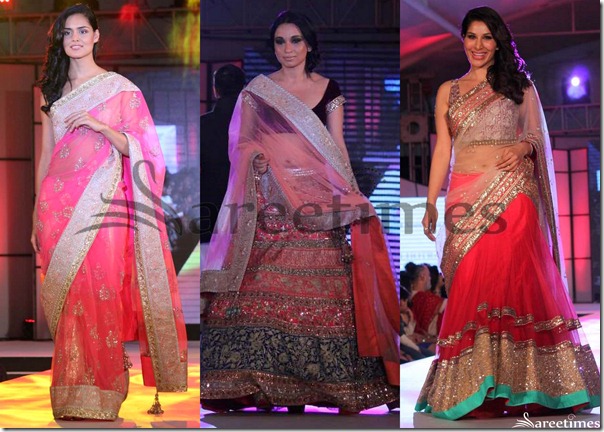 Manish_Malhotra_2012_Sarees(4)