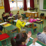 IMGP7668.JPG