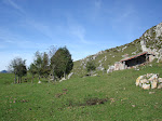 Majada de Cerboes