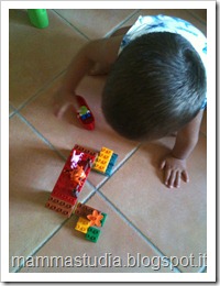 IMG_0710 IMG_0710