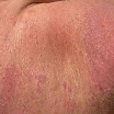 DSCN0730.JPG