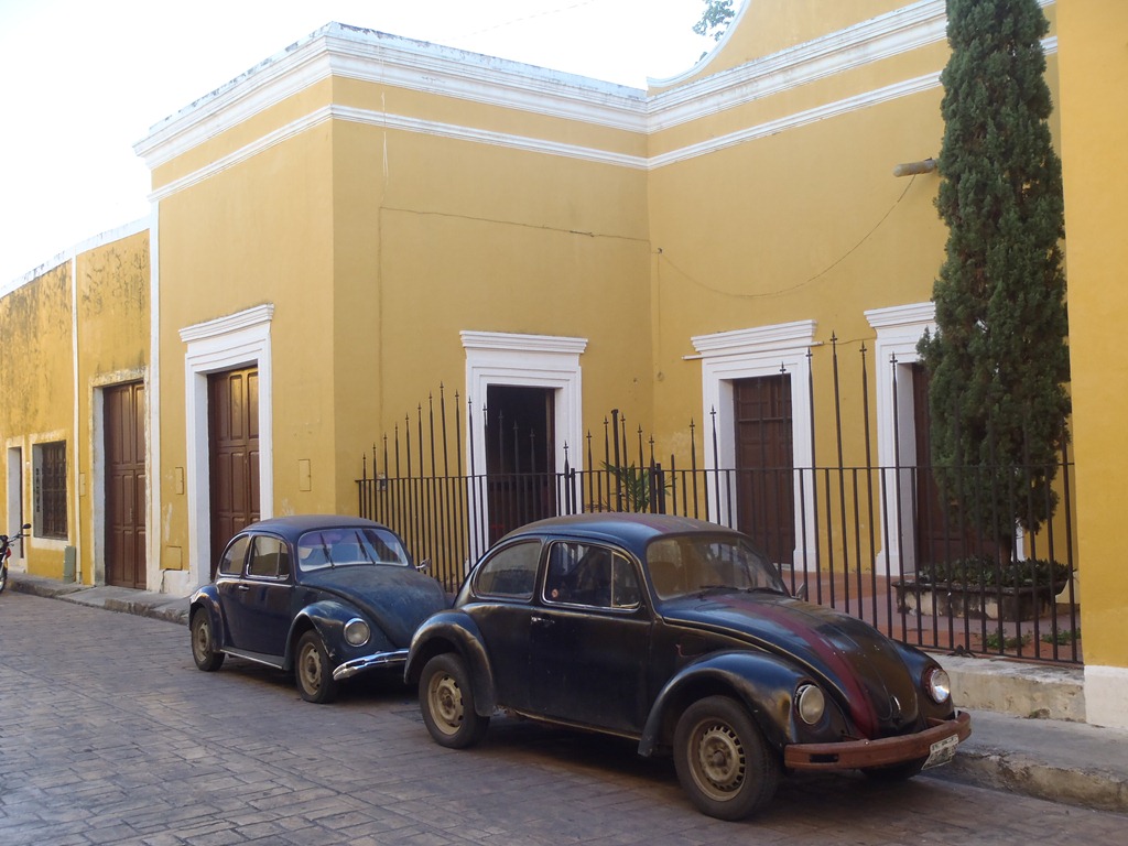 [P30800835.jpg]