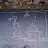 DSCN7037.JPG