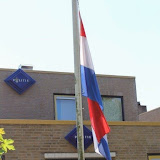IMG_0005.jpg
