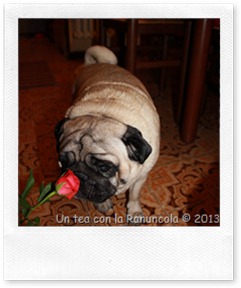 IMG_1867 IMG_1867