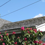 Roof Cleaning